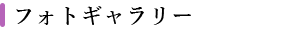 フォトギャラリー